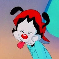 Wakko Warner from Animaniacs